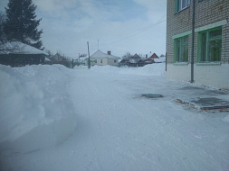 Крепкая дружба